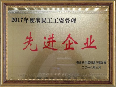 2017年度農民工工資管理**企業(yè)