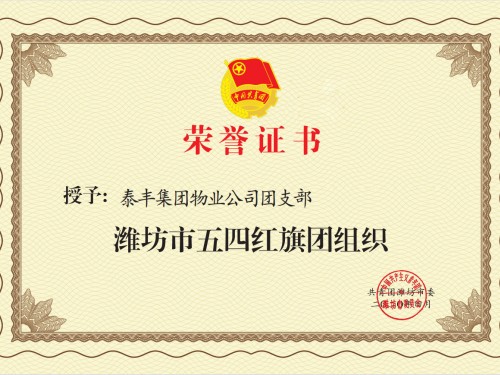 濰坊市五四紅旗團組織