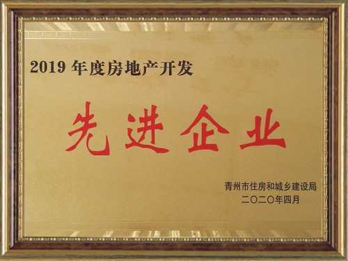 2019年度房地產開發先 進企業