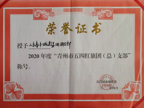  2020年度”青州市五四紅旗團支部“