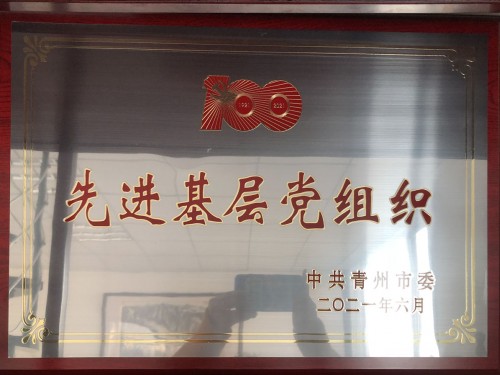 建黨100周年 先 進 基層黨組織