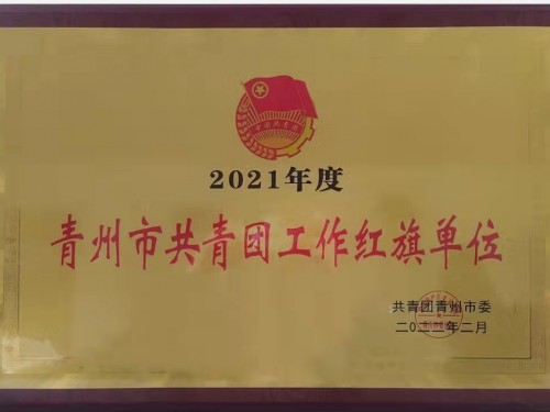 2021年度”青州市共青團工作紅旗單位“