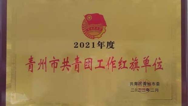 集團團委被授予2021年度”青州市共青團工作紅旗單位“榮譽稱號