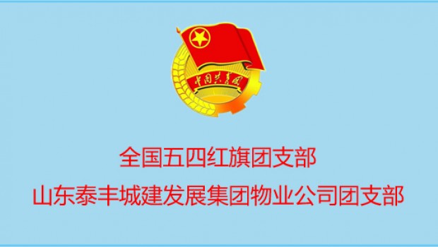 泰豐物業公司團支部喜獲 國 家 級 表彰！