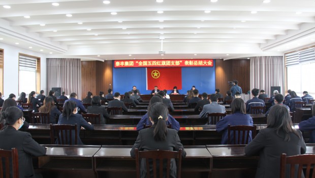 集團召開“全國五四紅旗團支部”表彰總結大會