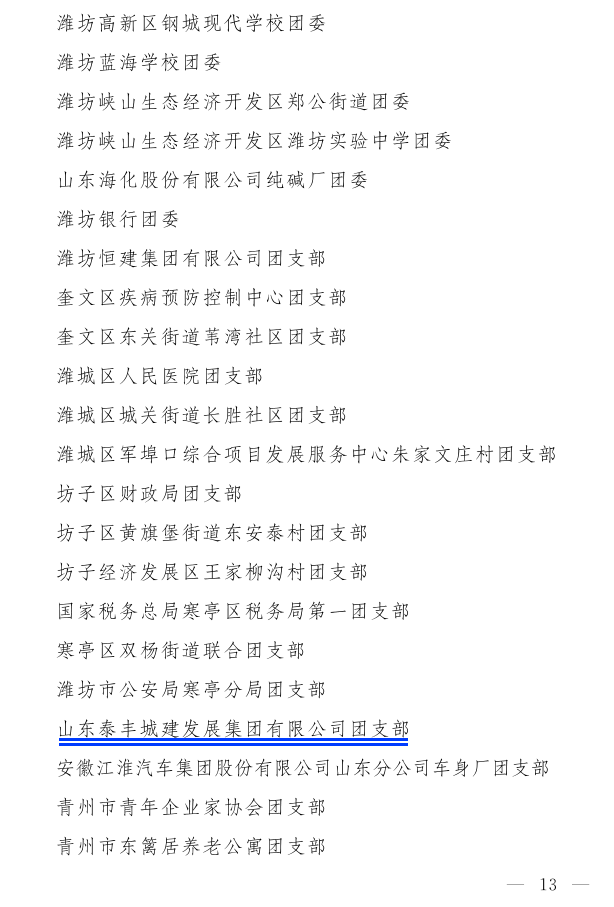 濰團發(fā)【2022】11號--關于表揚2021年度“濰坊市**共青團員”“濰坊市**共青團干部”“濰坊市五四紅旗團組織”“濰坊市青春擔當好青年_13.png